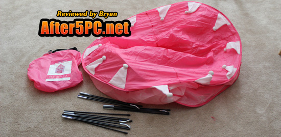 Childrens Kids Princess Tent Review